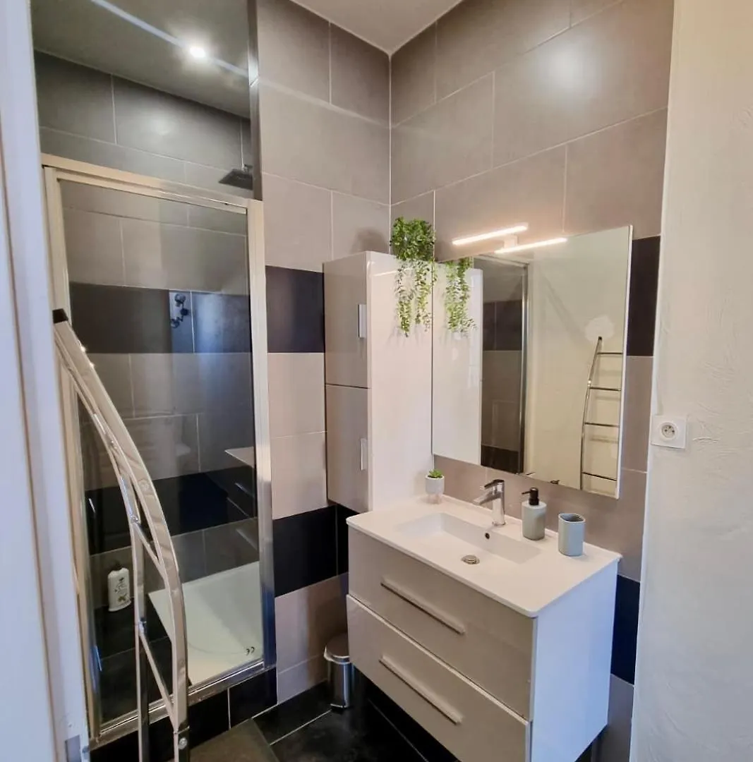 Apartment Appartement 55 M2 Avec Terrasse, Clim, Wifi, Netflix, Bureau Avignon